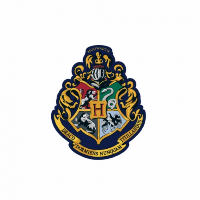 Cojin 3D Harry Potter Escudo