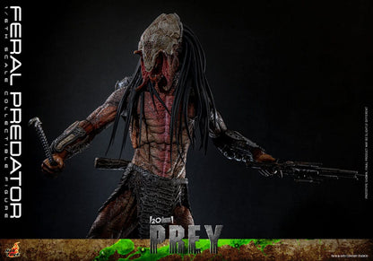 Prey Figura 1/6 Feral Predator 37 cm